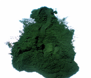 Chlorella Powder