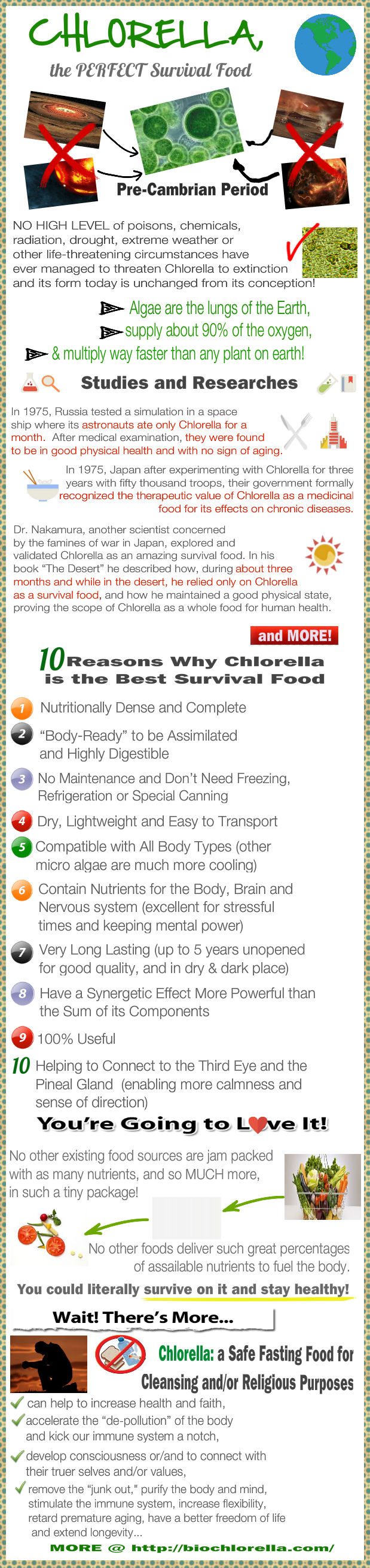 Biochlorella Survival